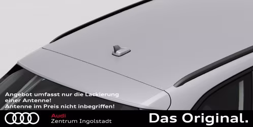 Lackierung einer Antenne in Fahrzeug Farbe (Antenne nicht im Preis inbegriffen!)