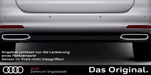 Lackierung eines Parksensors in Fahrzeug Farbe (Sensor nicht im Preis inbegriffen!) Lackierung eines Parksensors in Fahrzeug Farbe (Sensor nicht im Preis inbegriffen!)